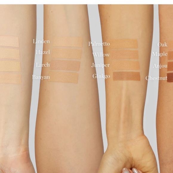 OGEE - Picture 4 of 8